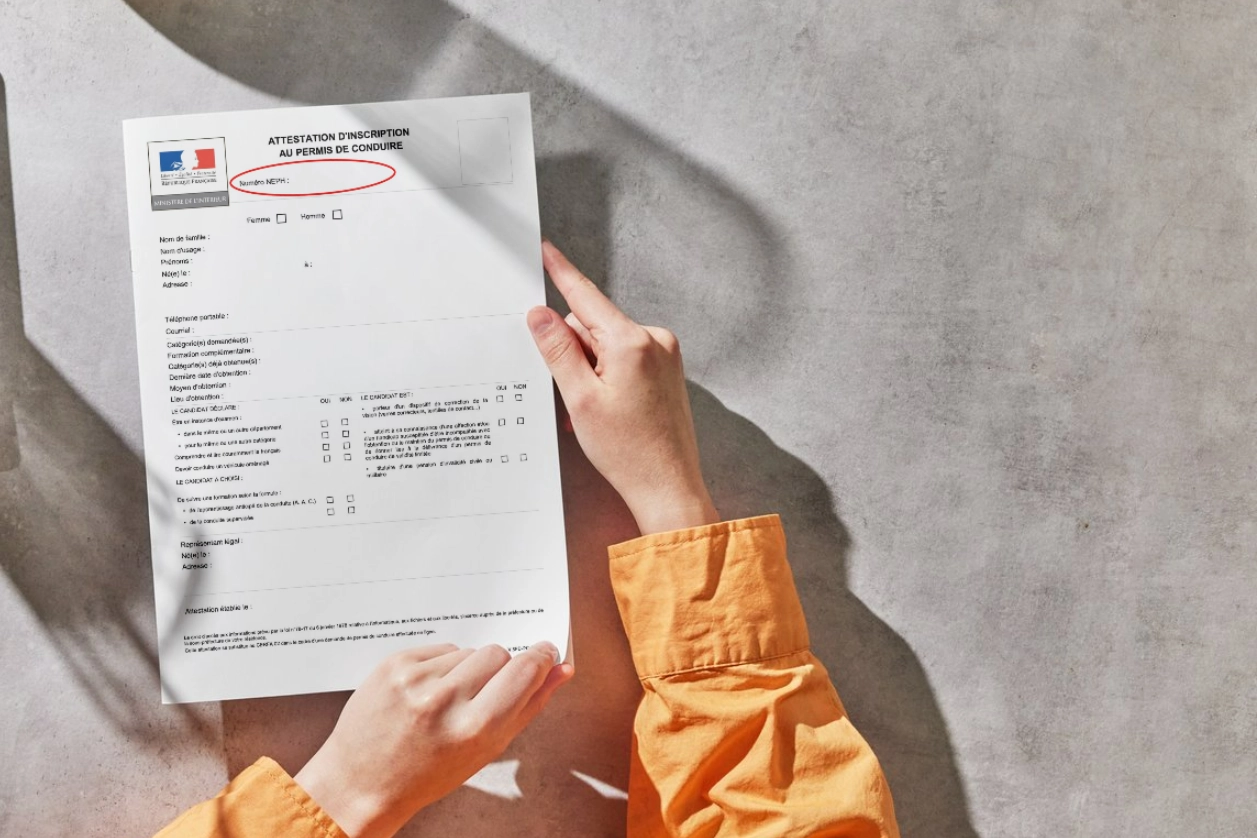 Permis de conduire volé : comment obtenir un duplicata